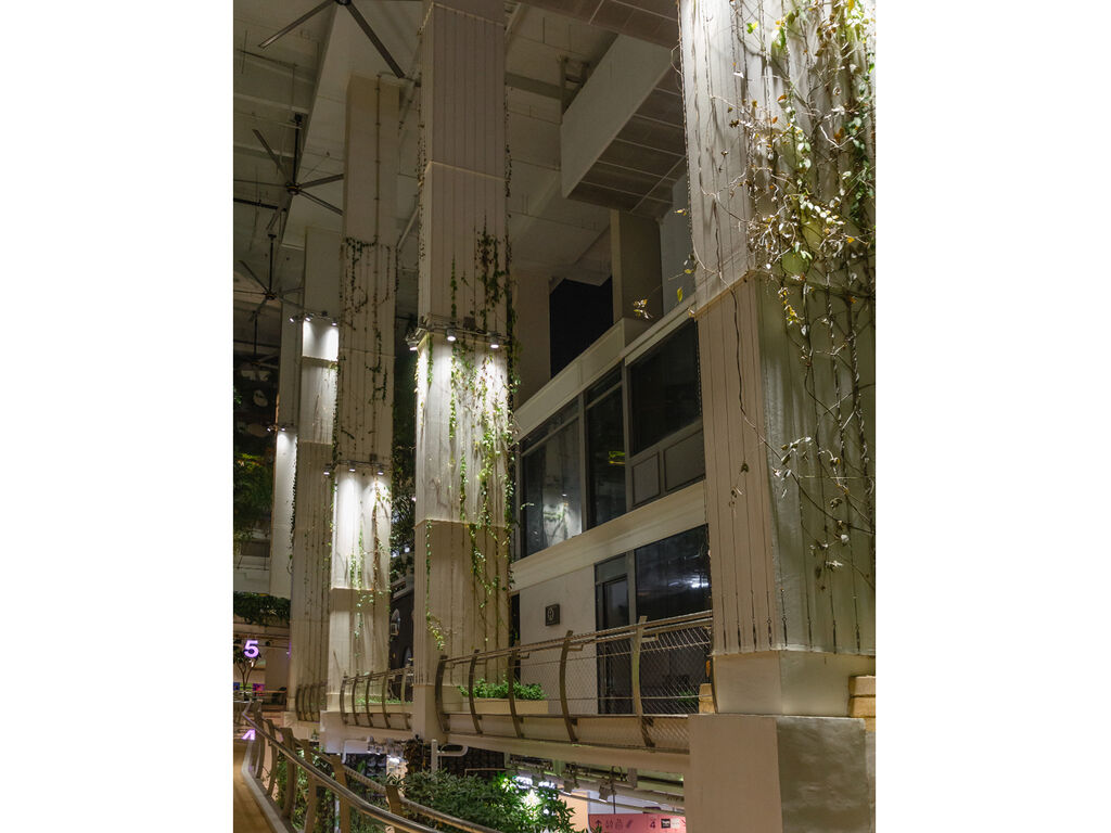 Marche Thonglor