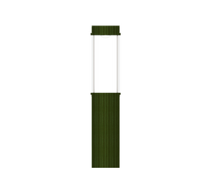 ARIZONA 12