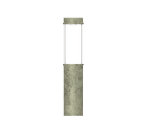 ARIZONA 12