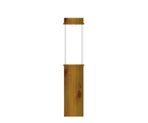ARIZONA 12