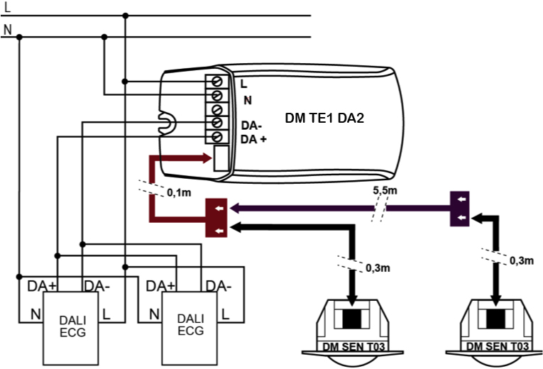 DETECTOR DE MOVIMIENTO DALI – DM TE1 DA2 - Esquema de instalación - Dinuy