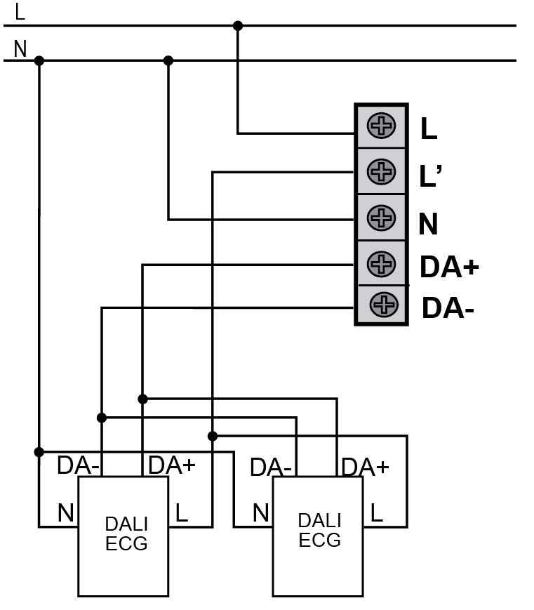 DETECTOR DE MOVIMIENTO DALI – DM TE1 DA1 - Esquema de instalación - Dinuy