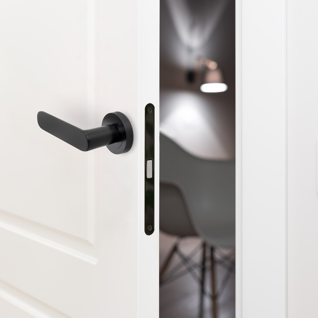 Lot de 5 poignées Bunbury pour portes intérieures, avec rosace D.50mm, Aluminium, Noir-2