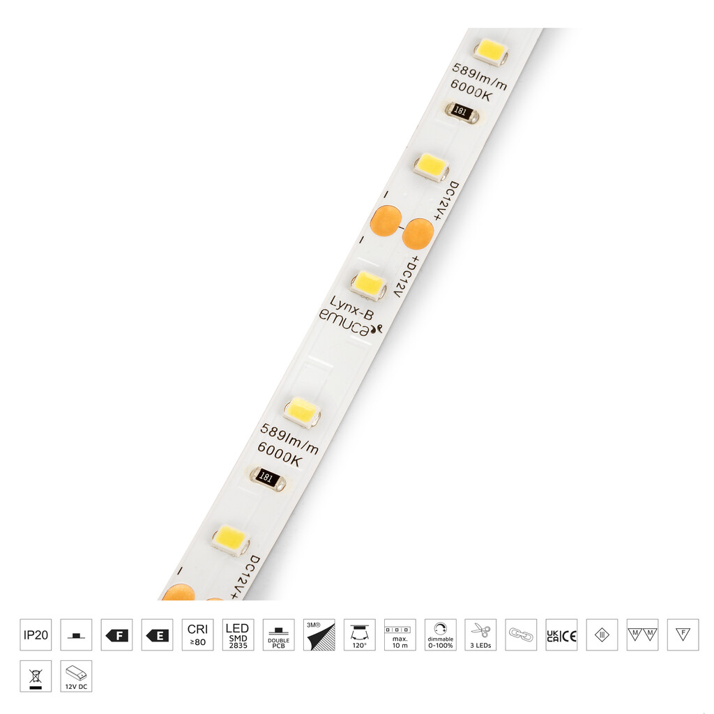 LED Strip Lynx Basic 4,8W/m IP20 (12V DC), length 50m, cold white light 6.000K, Plastic-8