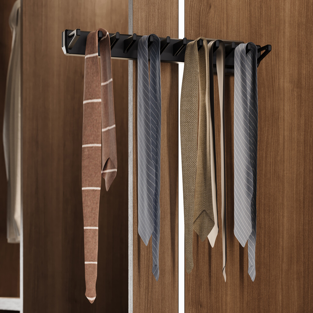 Porte cravates latéral extractible pour  placard Quartz, Plastique et Aluminium, Titane-2