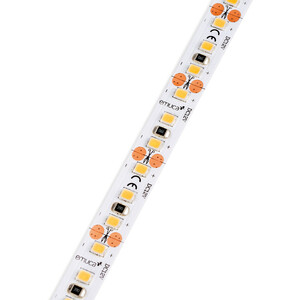 Lynx Premium 28,8W/m IP20 (12V DC) photo du produit