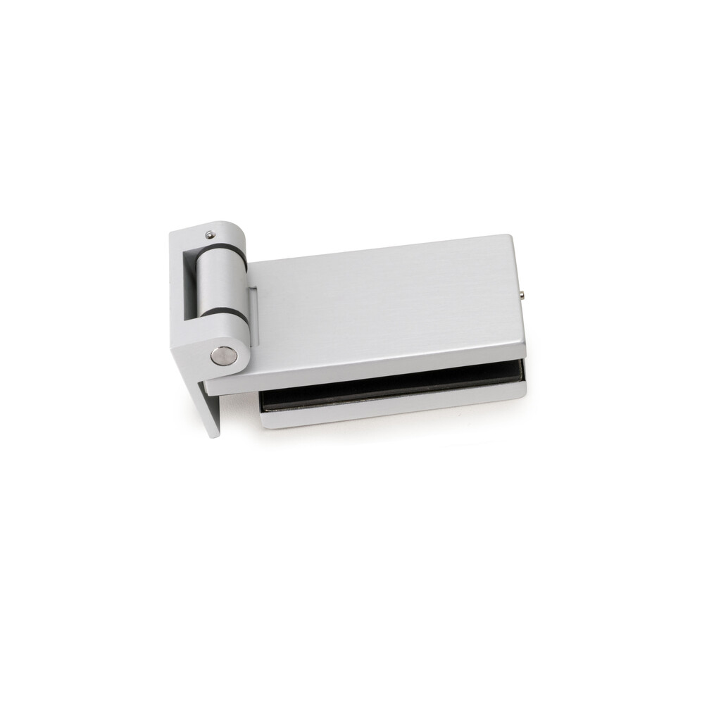 Glass door hinge with 40mm spade-Primary