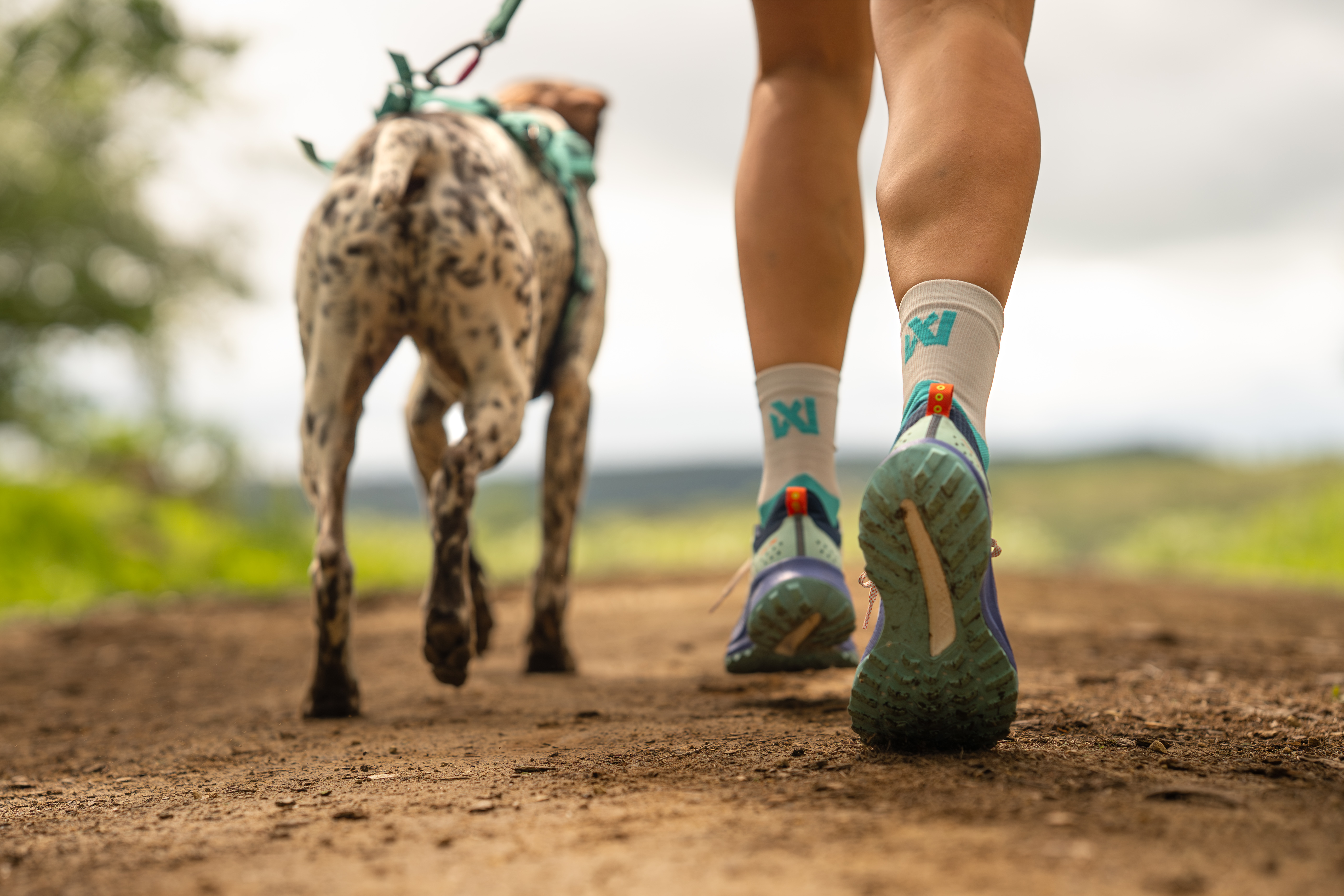CaniX socks