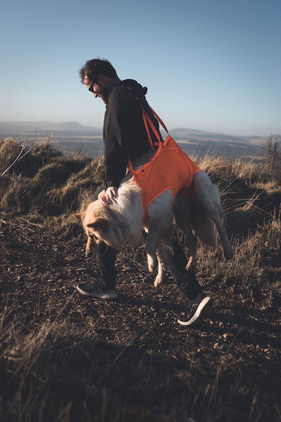 Dog rescue sling