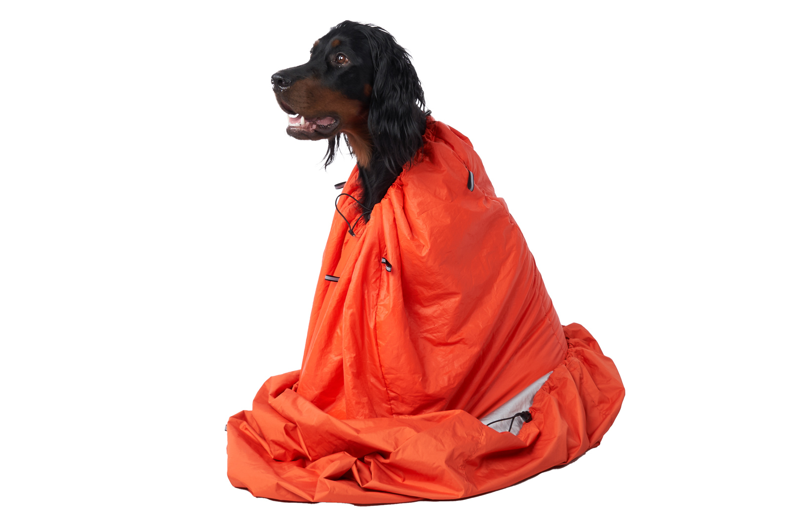 Protector bivvy bag