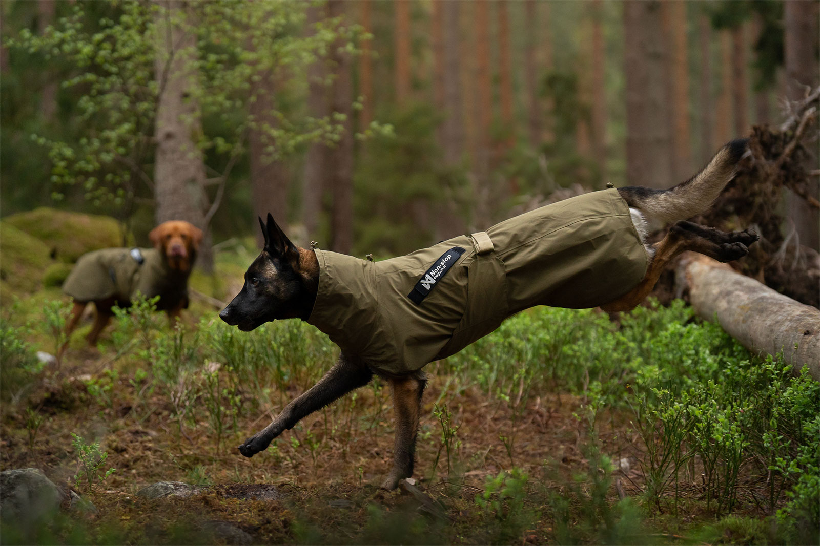 Fjord raincoat WD
