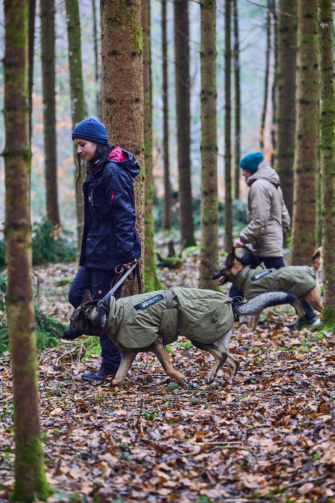 Glacier dog jacket WD