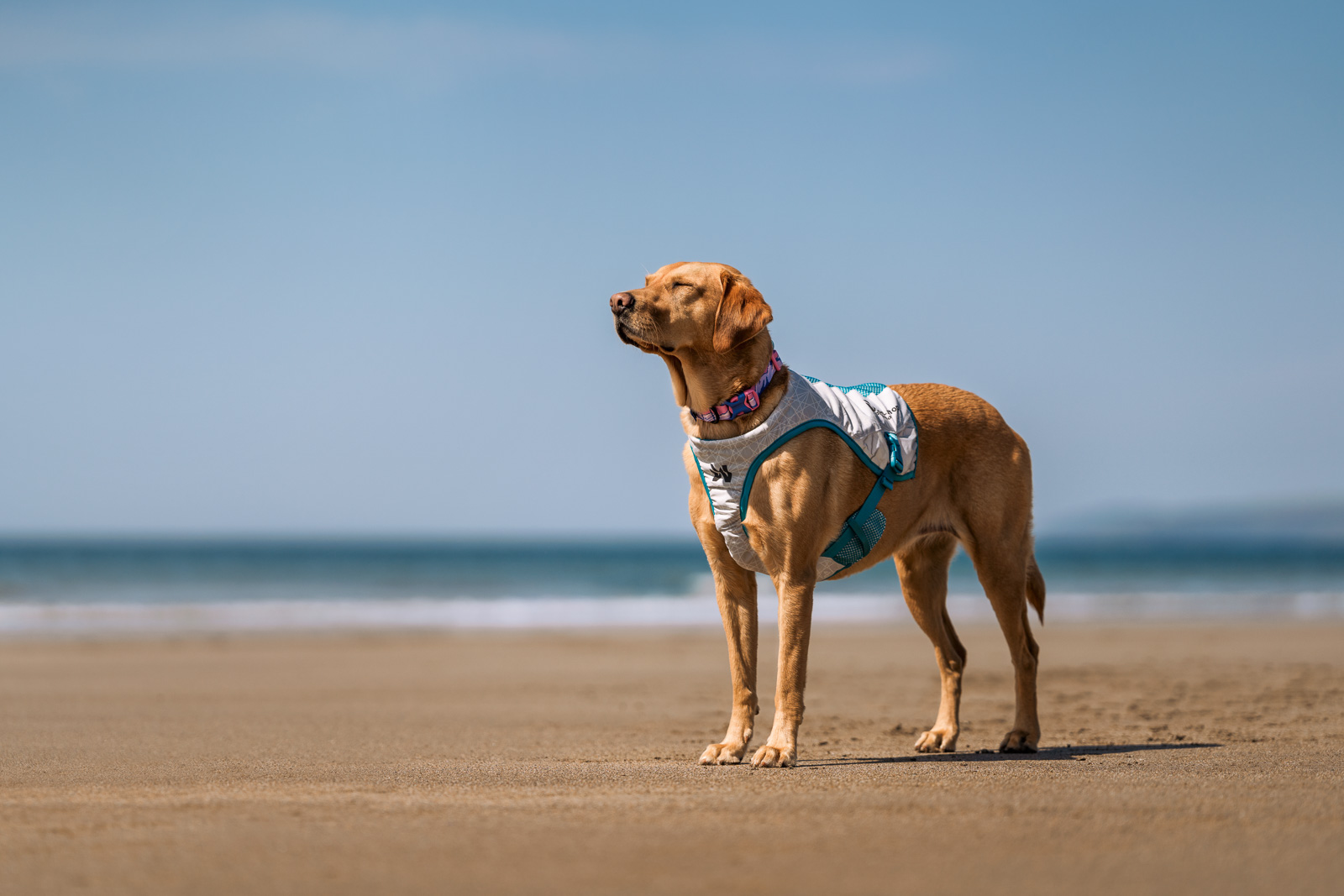 Cooling vest