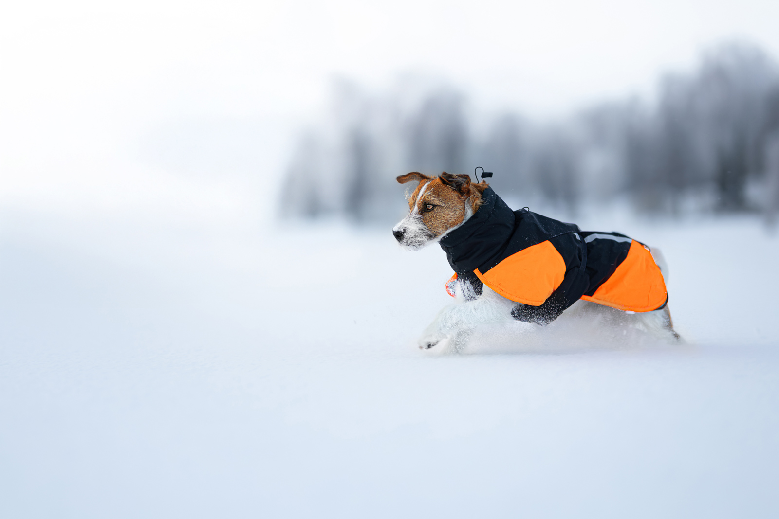Glacier jacket 3.0