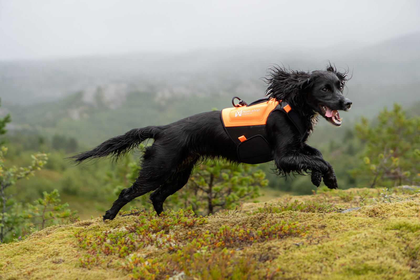 Protector neoprene vest