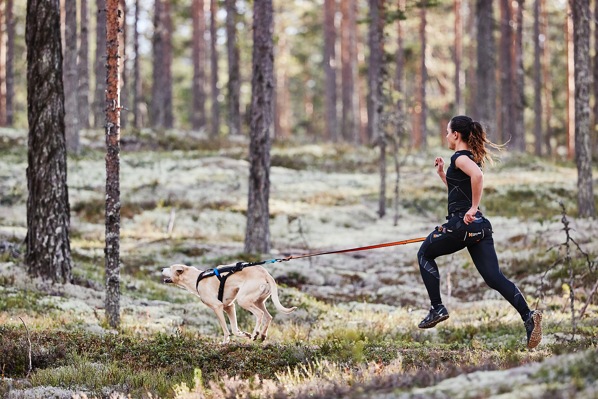 Belts Nonstop dogwear®