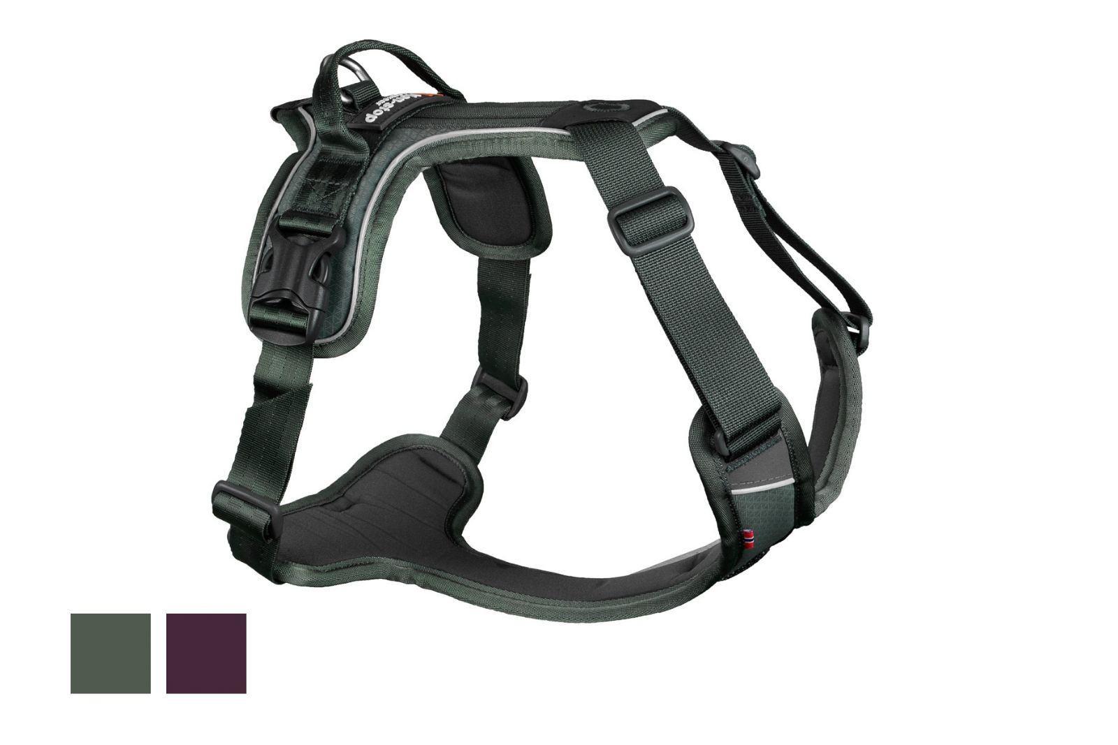 Ramble harness