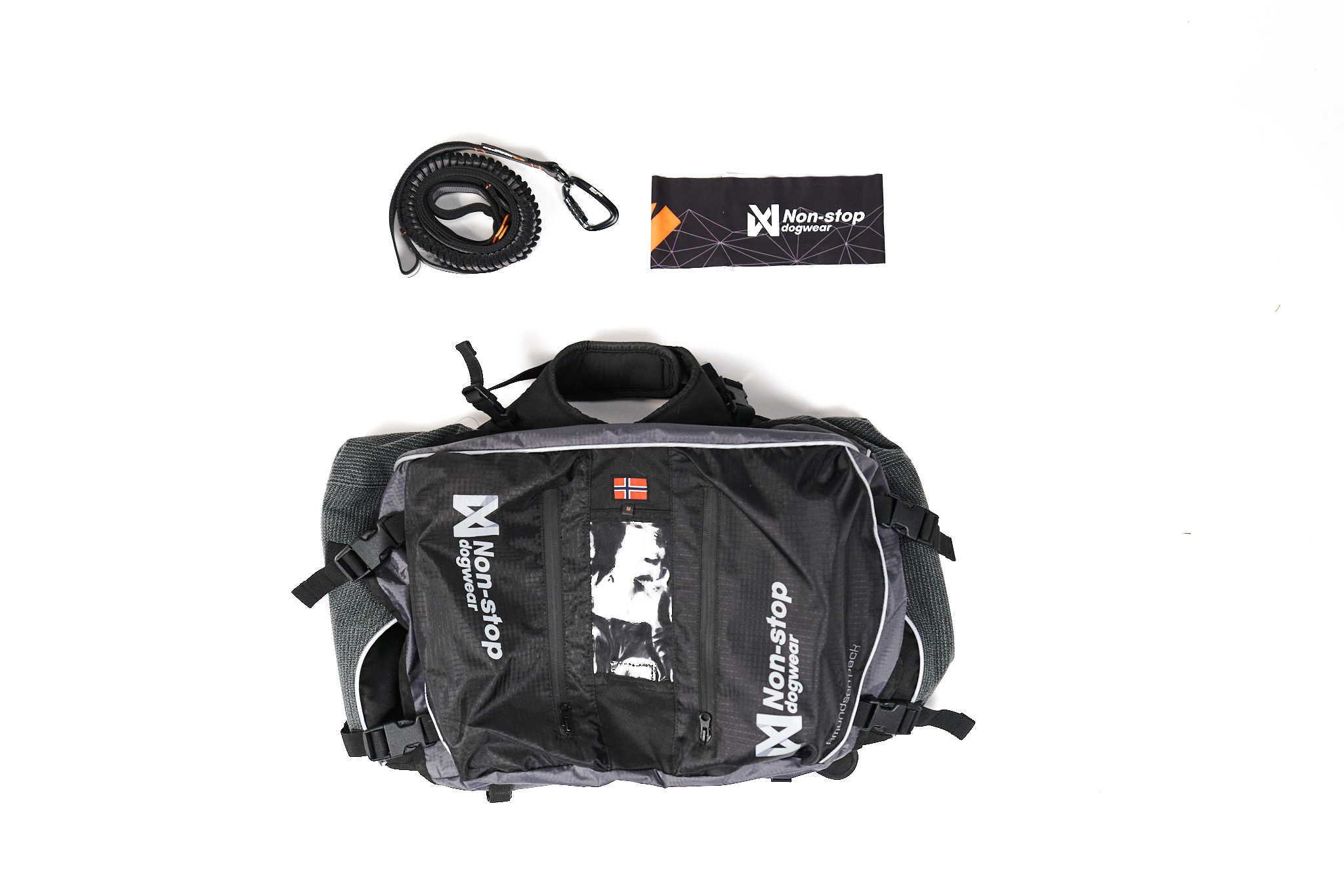 Dog backpacking kit