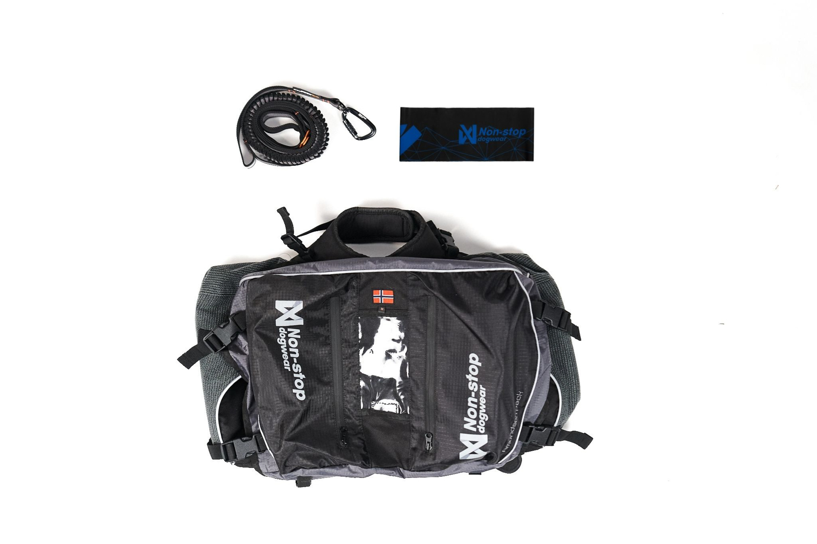 Dog backpacking kit