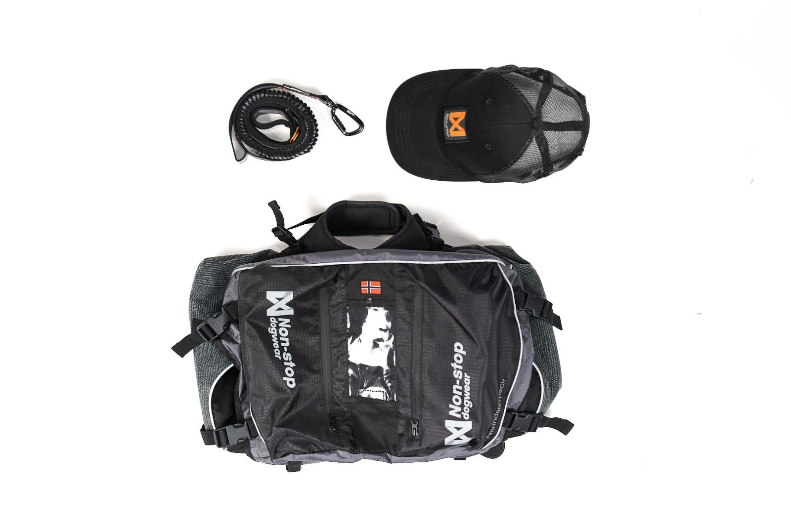 Dog backpacking kit