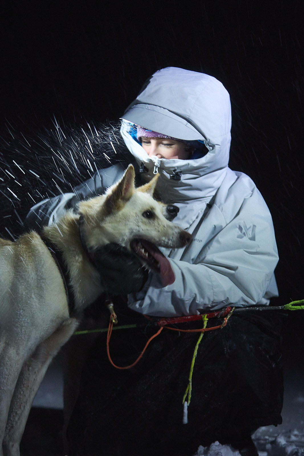 Dog mushing anorak | Tundra anojakka 2 