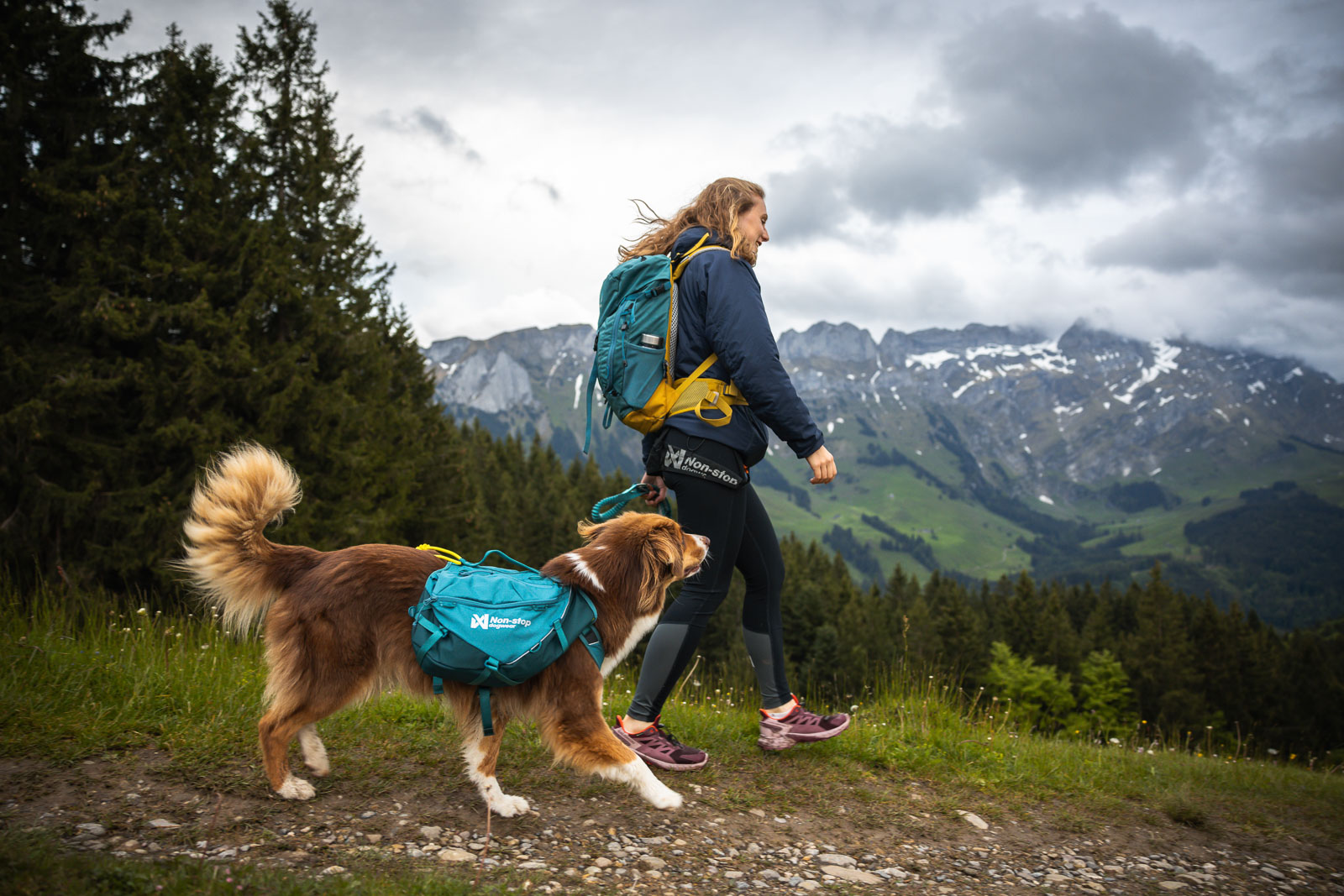 Trail quest dog backpack