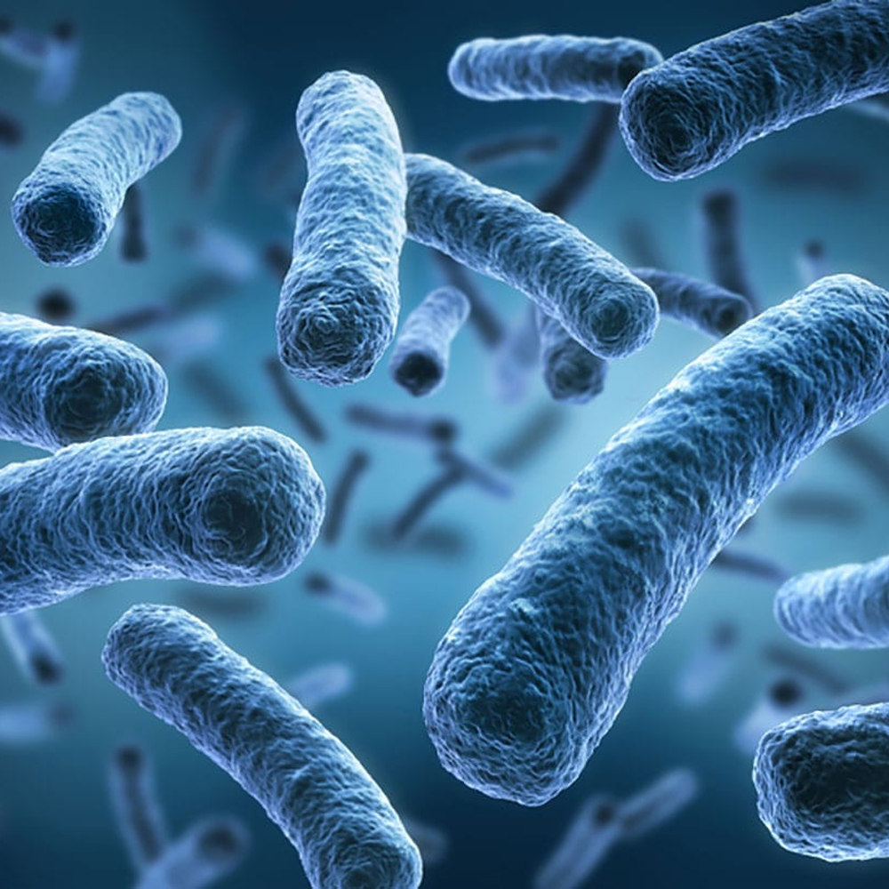 Sistemas Antilegionella