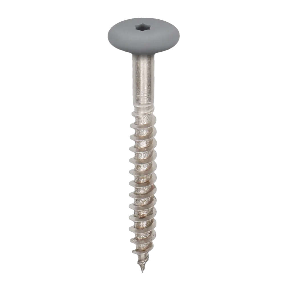 Torx schroef 45mm rvs V4A 100st