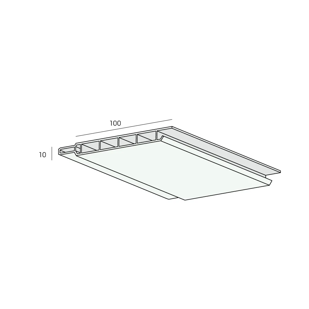 Tekening Sponningschroot 100x10mm