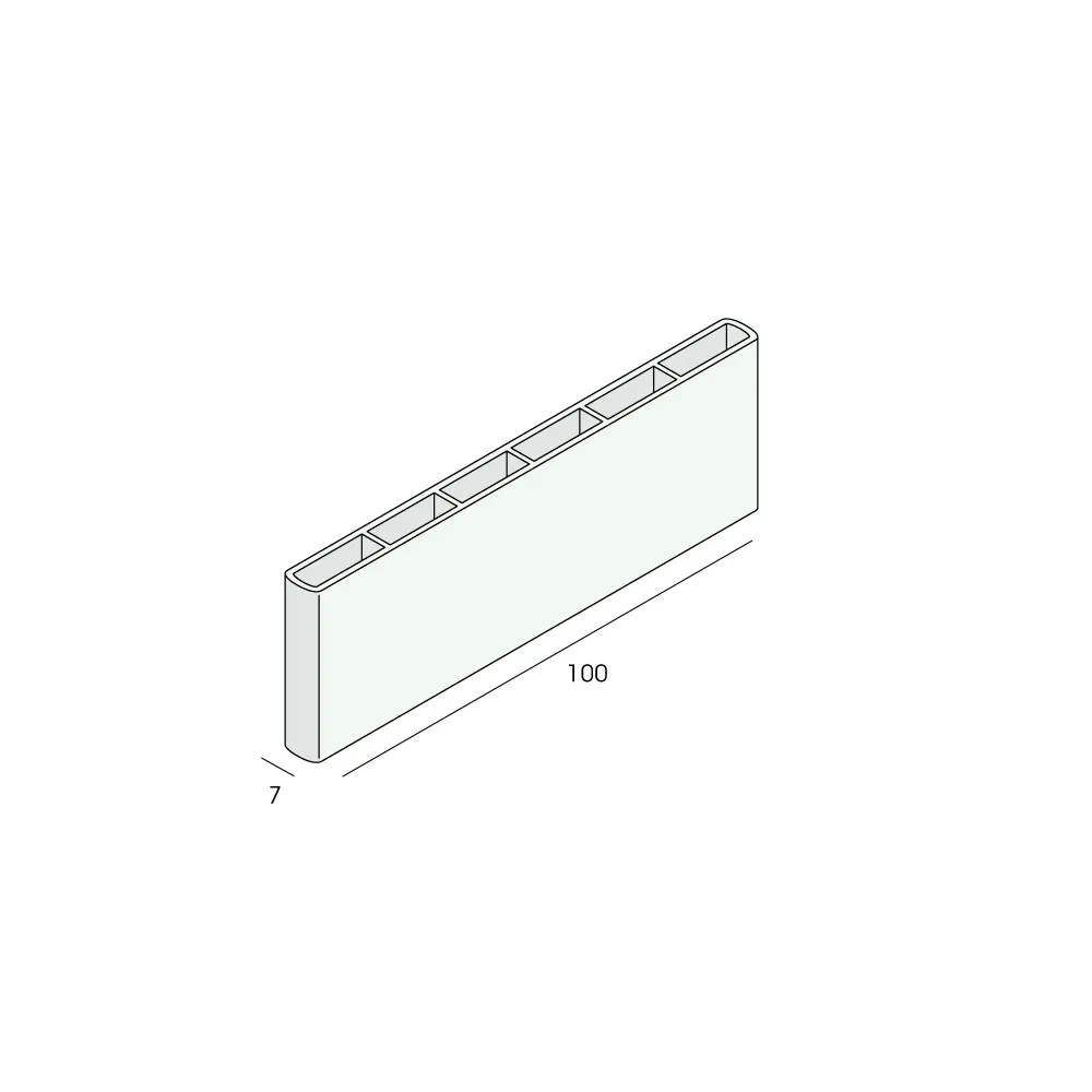 Tekening Holkamer platprofiel 100x7mm