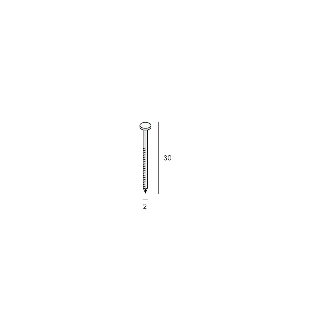 Tekening RVS nagel 30mm 250 stuks