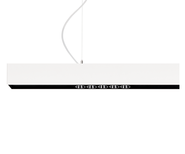 BLACK FOSTER SUSPENSION 1600