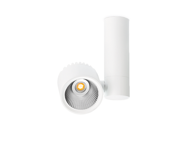 ZEN TUBE SURFACE