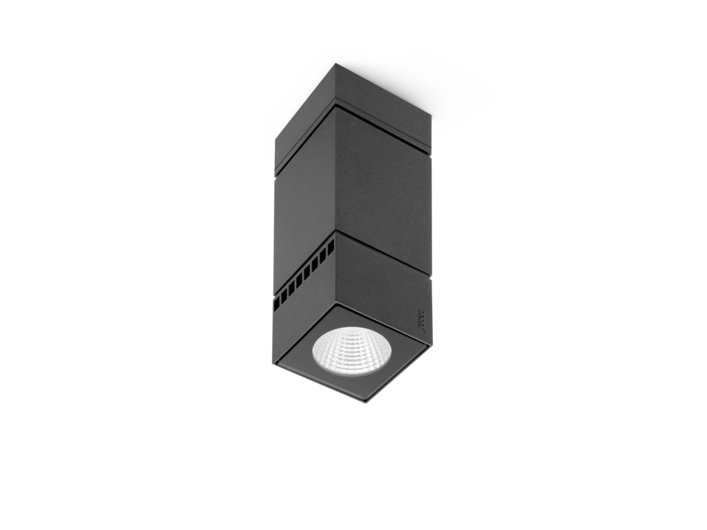 VEGA C
