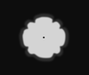 Symmetric, 360°, Special effect: Leaf