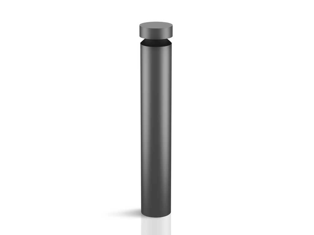 CORVUS L Asym
