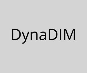 DynaDIM