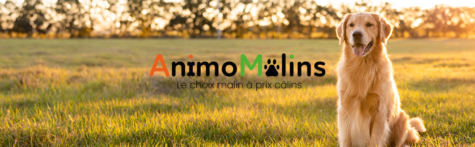 Animomalins, le choix malin à prix câlins