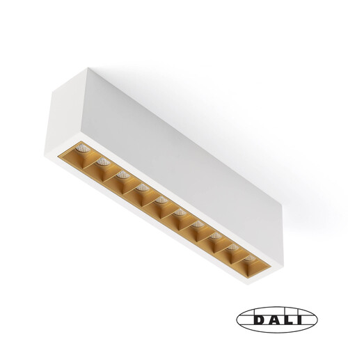 TROOP SUP 10x2W BLA-ORO 15º 2700K CRI90 DALI