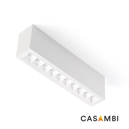 TROOP SUP 10x2W BLA-BLA 36º 2700K CRI90 CASAMBI