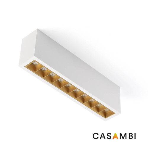 TROOP SUP 10x2W BLA-ORO 48º 4000K CRI90 CASAMBI