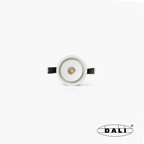 TEIDE DOWNLIGHT 10W BL 50° 3000K CRI97 DALI 110V