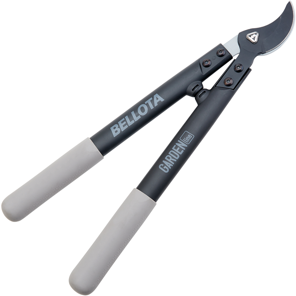 Tijeras | Bellota