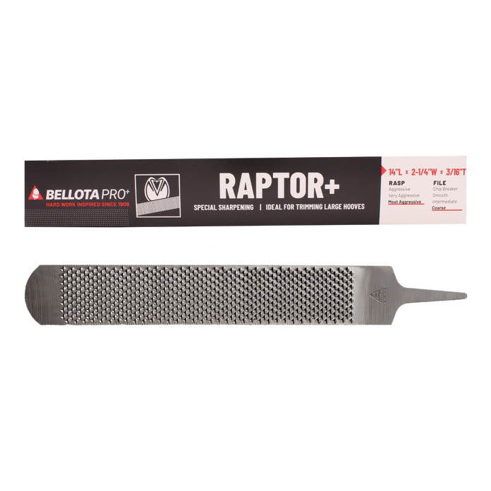Raspa Raptor+ para herrador — Bellota | Escofina para caballos