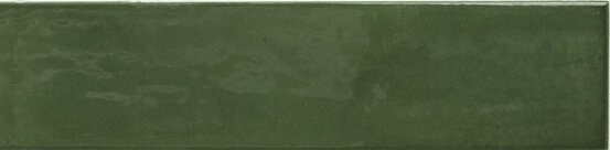 FAYENZA GREEN 6X24,6 BRILLANT Grès cérame - CARMEN