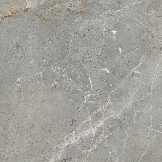 AUGUSTUS GREY RECT 60X60 МАТОВЫЙ Керамогранит - APE