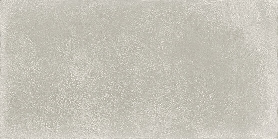 CLOS CENERE RECT 30,2X60,4 MAT Grès cérame - APE