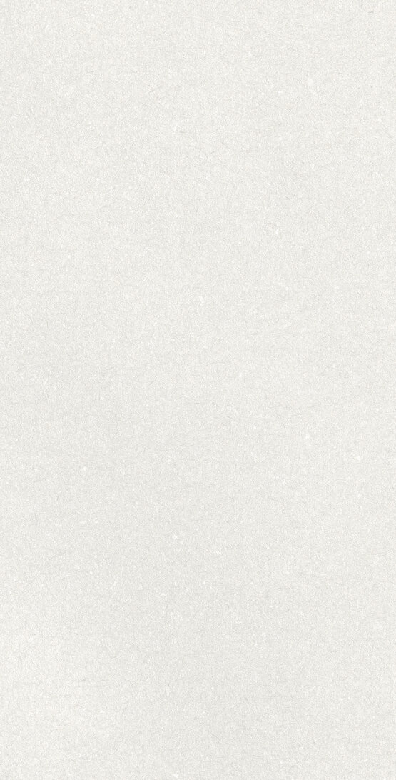 CAPRICE WHITE RECT 60X120 MATT White body - APE