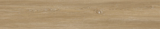 ANETO DORADO 23X123,5X0,55 MAT SPC - VLOOK