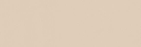 POEME CLAY RECT 40X120 МАТОВЫЙ Белая масса - APE